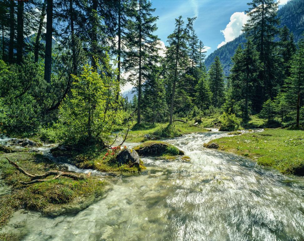 Hotel Laerchenhof Natur Seefeld in Tirol Eksteriør billede
