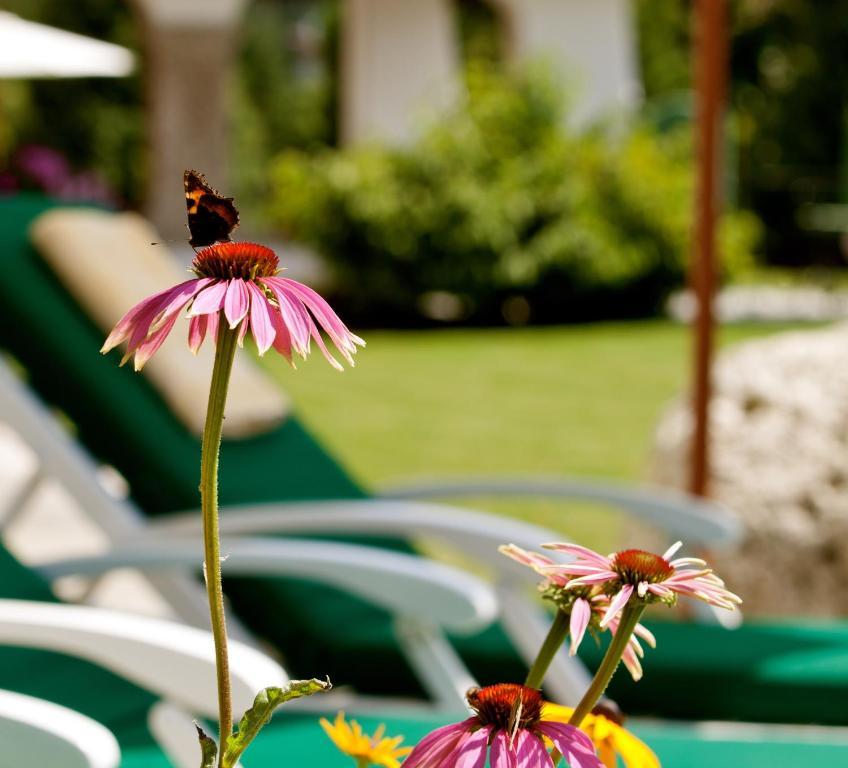 Hotel Laerchenhof Natur Seefeld in Tirol Værelse billede